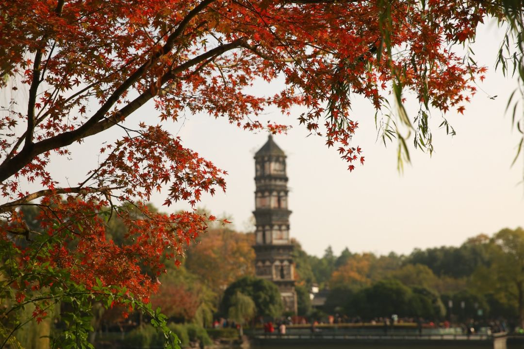 义乌十大网红打卡地,义乌网红打卡小镇