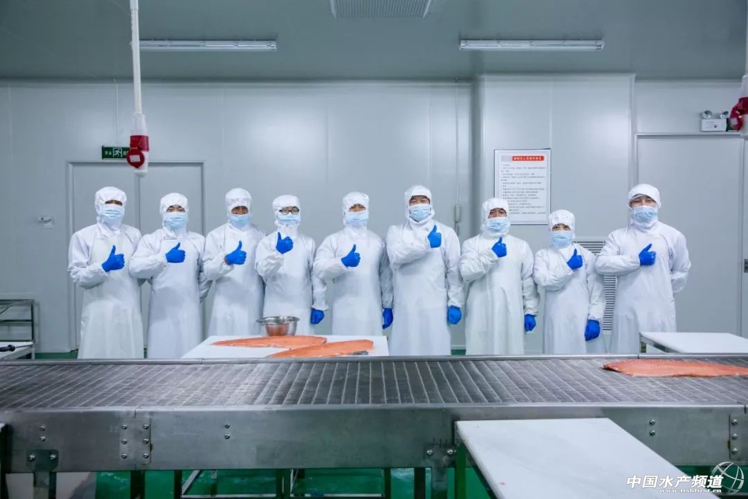 全国最大三文鱼批发市场,全国三文鱼进货渠道在哪里