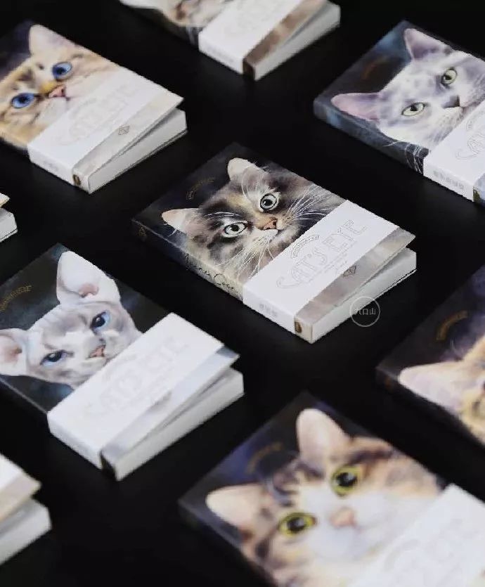 霓虹最好用的套装有哪些,霓虹最好用的套装