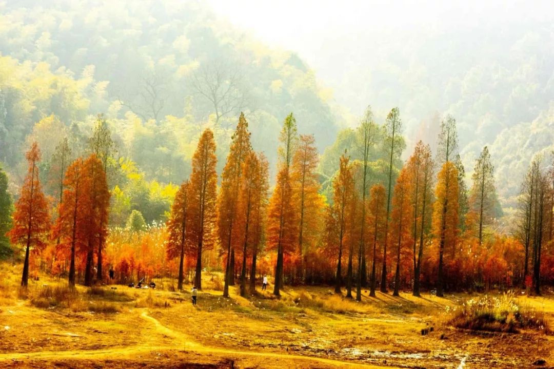 长沙梅溪湖拍照的网红打卡地,长沙梅溪湖网红打卡地在哪个站下