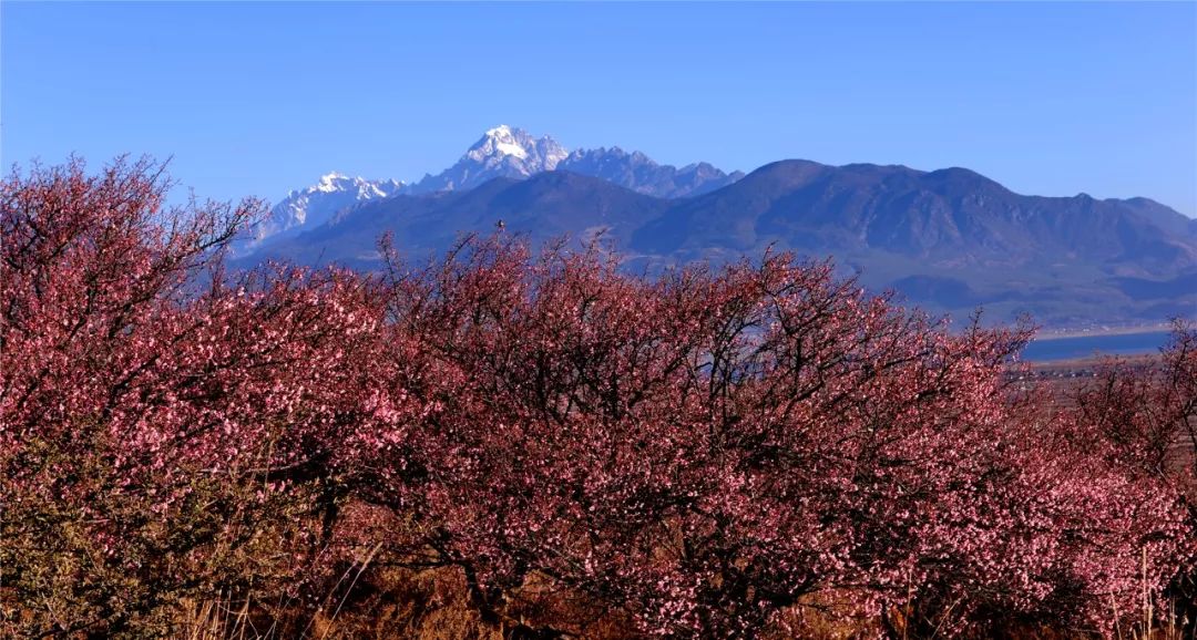 关于一张去丽江的旅游图,100张丽江照片