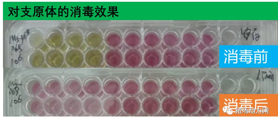 幻影360分子悬浮消毒机消毒原理,幻影360分子悬浮消毒机使用方法