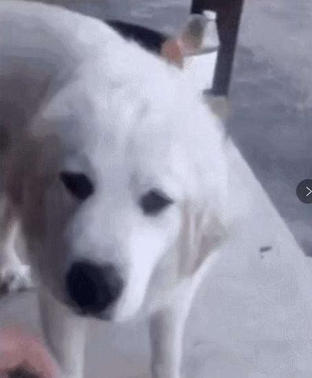 后的化妆品怎么辨别真假,怎么辨别在网上买的化妆品真假