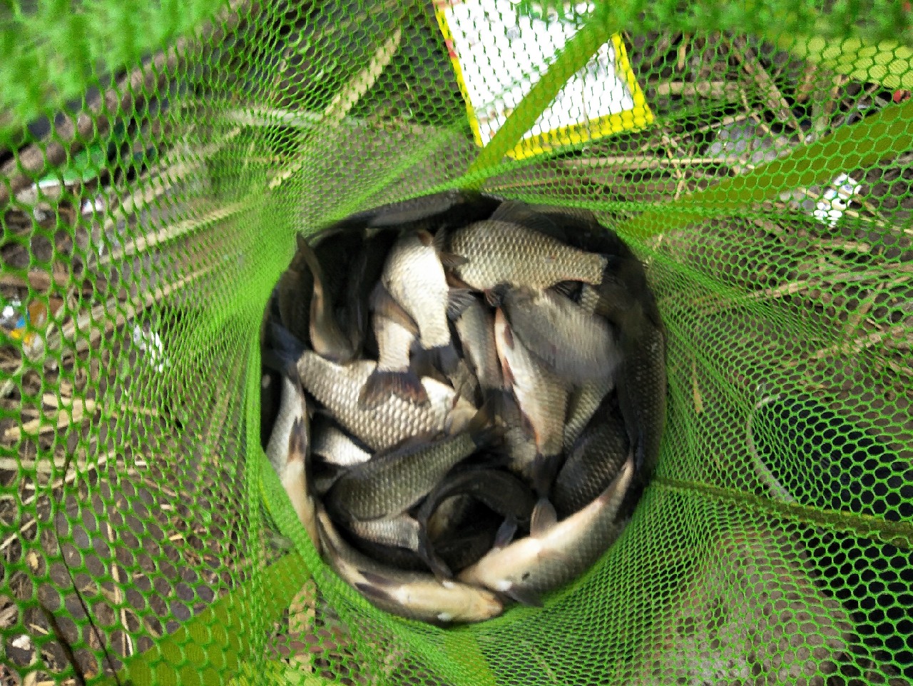 矶竿浮球钓法,矶竿岸筏怎么用