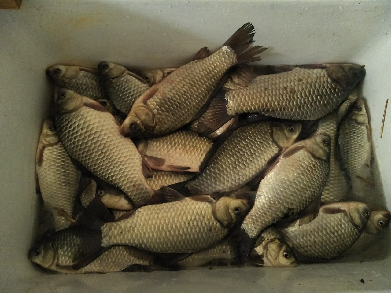 矶竿浮球钓法,矶竿岸筏怎么用