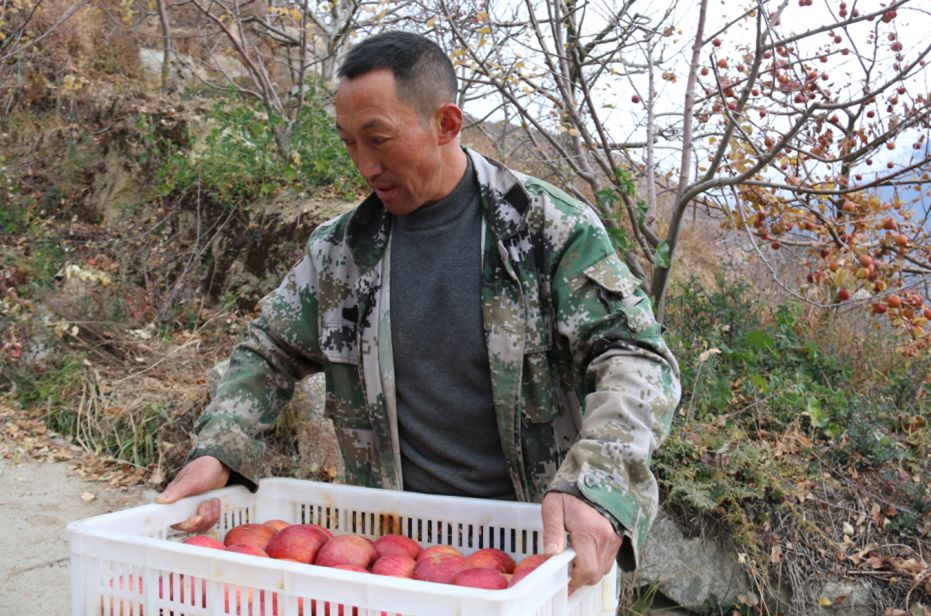 泸定县现代农业,泸定新商机