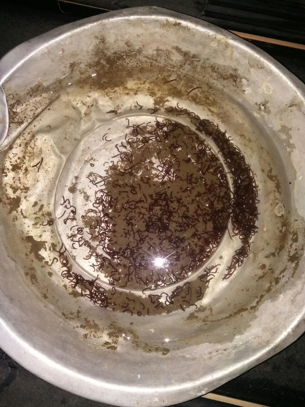 气温低如何钓鱼,冬季低温钓鱼技巧