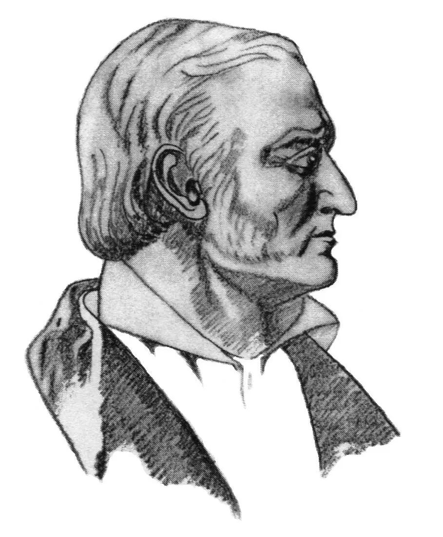 数学天才高斯的大脑被偷走原视频,数学天才高斯的事迹