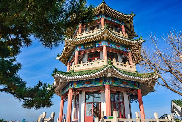 猝不及防闯入你的容颜｜你好，青岛