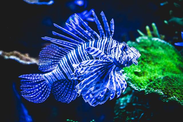 猝不及防闯入你的容颜｜你好，青岛