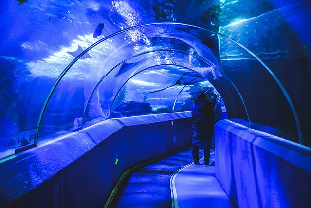 猝不及防闯入你的容颜|你好,青岛