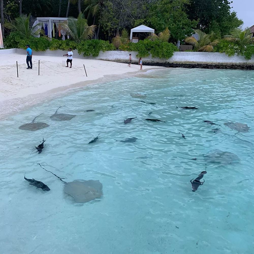 2万预算能去马尔代夫吗,2万元马尔代夫旅游