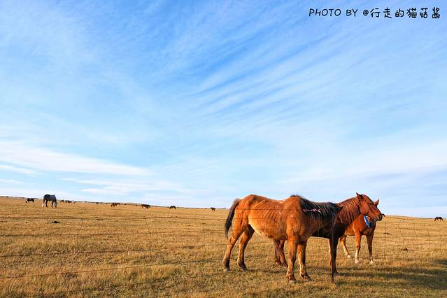自驾呼伦贝尔草原公路,呼伦贝尔草原自驾公路