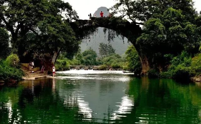 2020骞翠綑棰濆凡涓嶈冻,2019骞村凡浣欓涓嶈冻