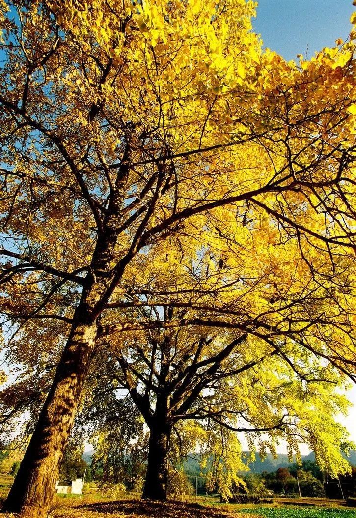 2020骞翠綑棰濆凡涓嶈冻,2019骞村凡浣欓涓嶈冻