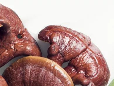 开箱特辑#3|我的圣诞礼物已经上“鹿”了，你的呢