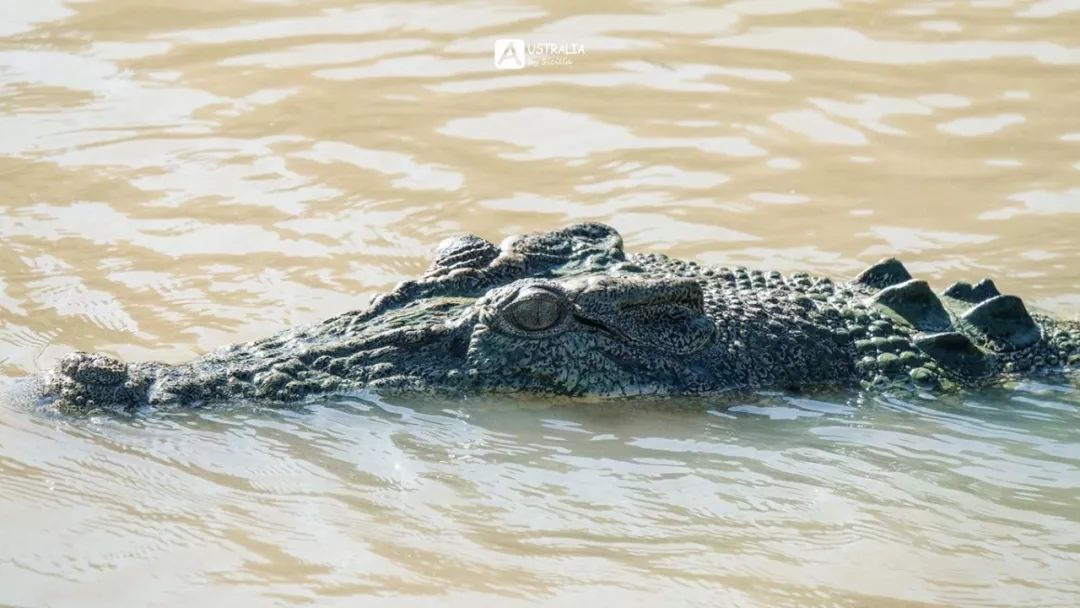 澳洲必去的几个地方,澳大利亚哪些景点值得去