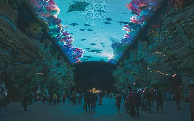 珠海长隆海洋王国海底夜宿,珠海长隆海洋王国鲸鲨馆海底区