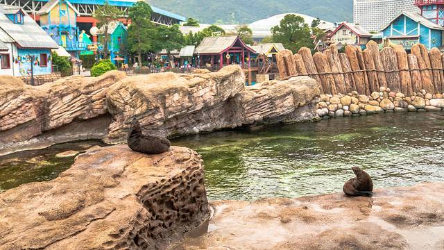 珠海长隆海洋王国海底夜宿,珠海长隆海洋王国鲸鲨馆海底区