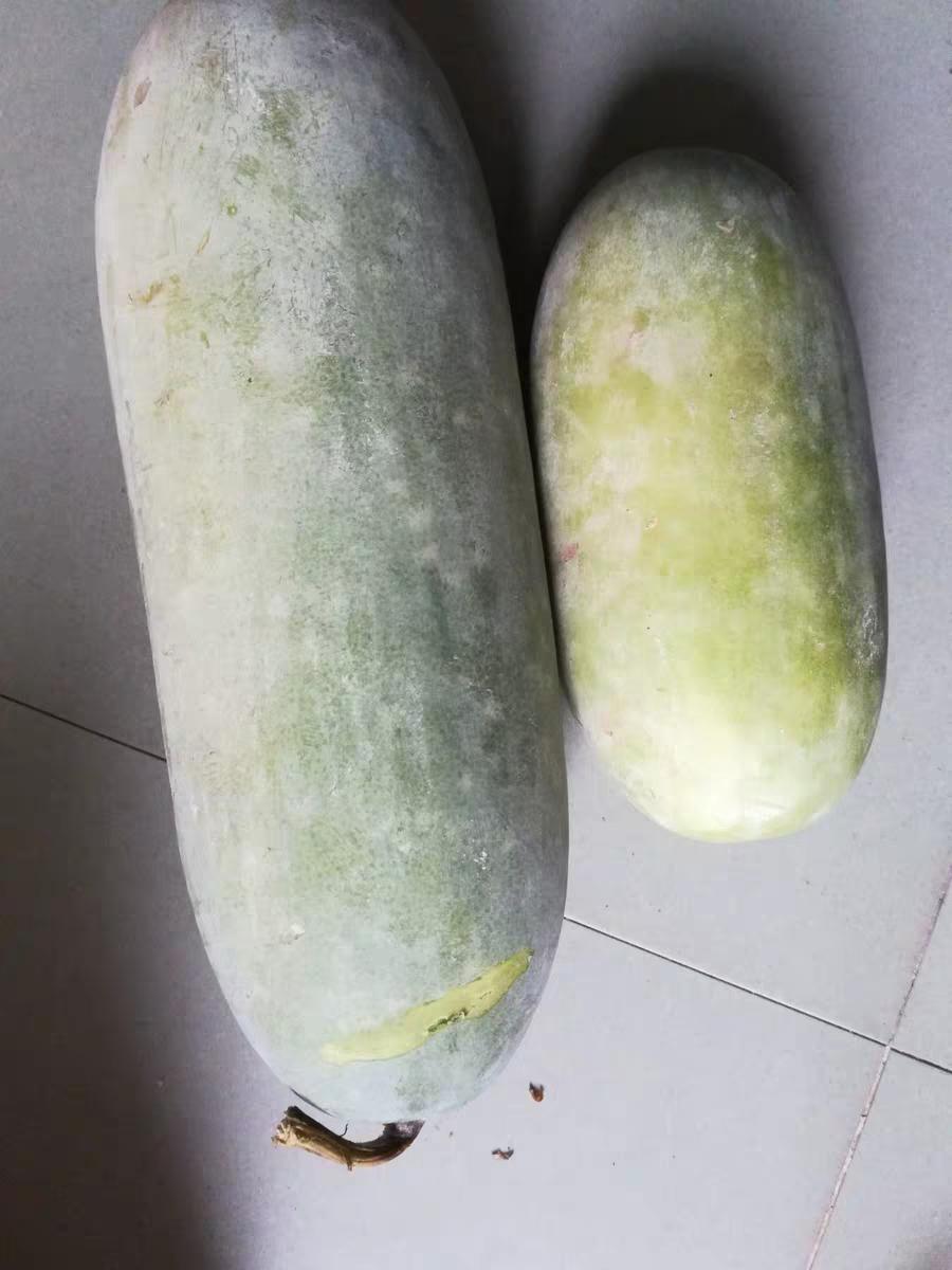 降血糖最好的蔬菜和食物有哪些,16种降血糖的蔬菜糖尿病菜谱