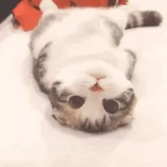 小个子宽松面包服穿衣搭配,高个子穿面包服怎么搭配