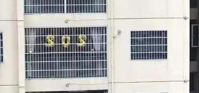 36岁辅警遭面包车碾压牺牲，犯罪嫌疑人已被刑拘！