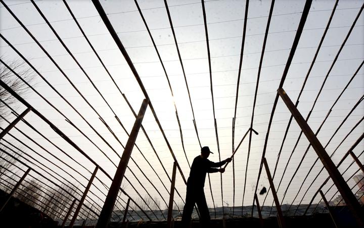 常见的耕地违法违规行为,31个典型耕地违法违规案例