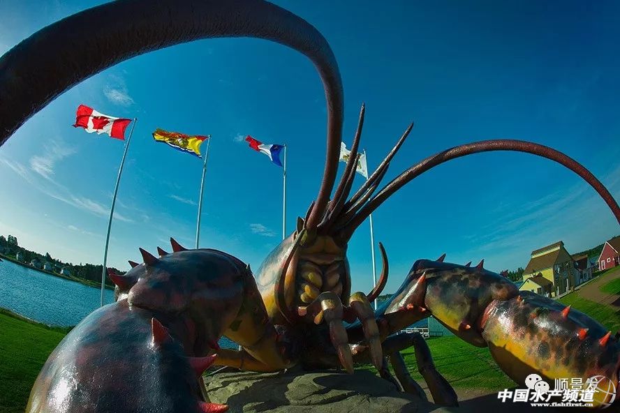 龙虾行业的发展,龙虾的发展历程