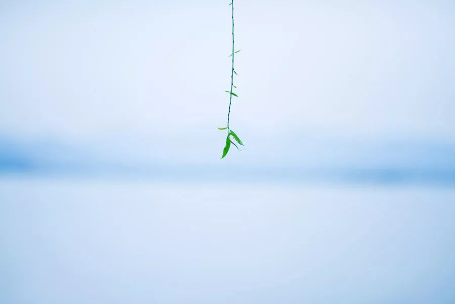 天涯咫尺，如见故人|2019小林摄影总结