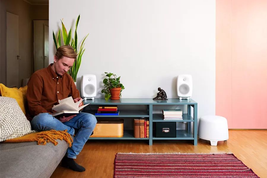 真力有源音箱有哪些系列 (真力m系列音箱)