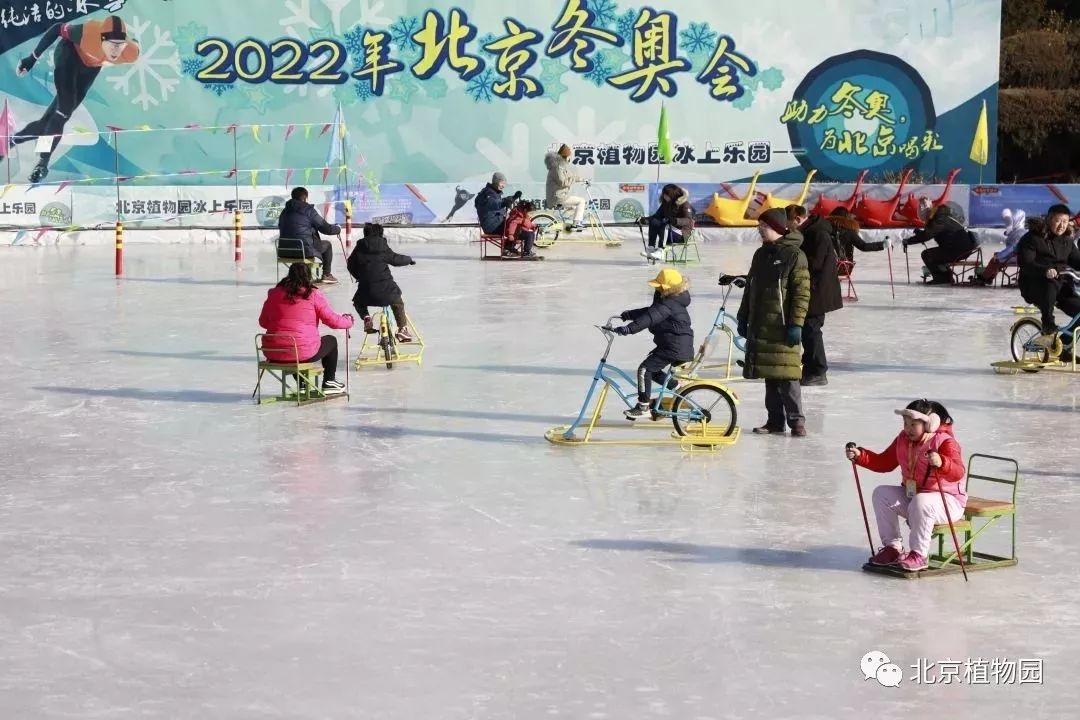 最新颐和园冰场,2024年颐和园冰场开了吗