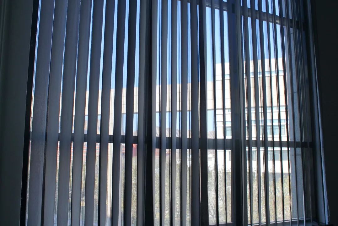 这还是我认识的相机吗,这还是我认识的二哈吗