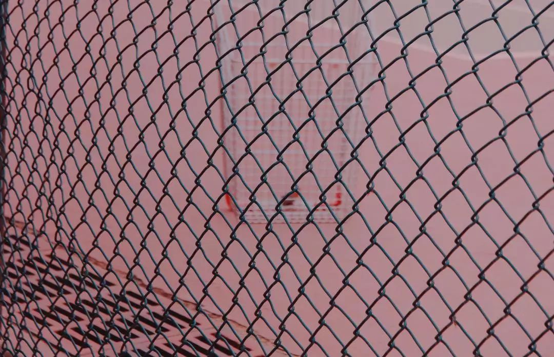 这还是我认识的相机吗,这还是我认识的二哈吗