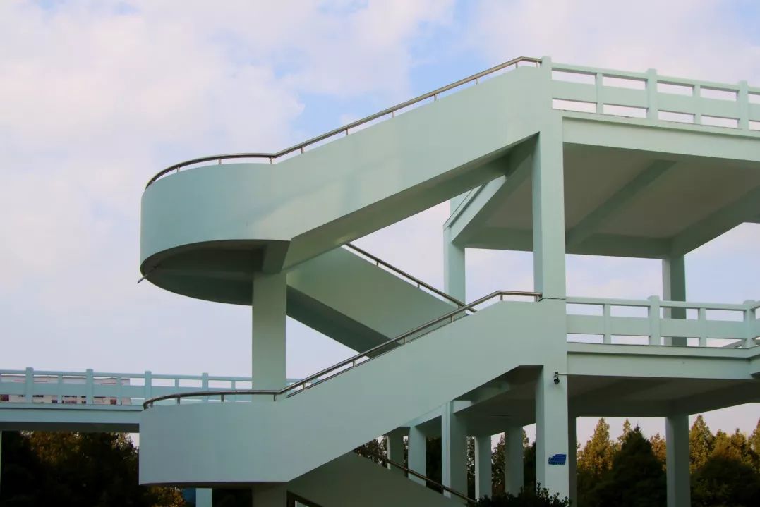 这还是我认识的相机吗,这还是我认识的二哈吗