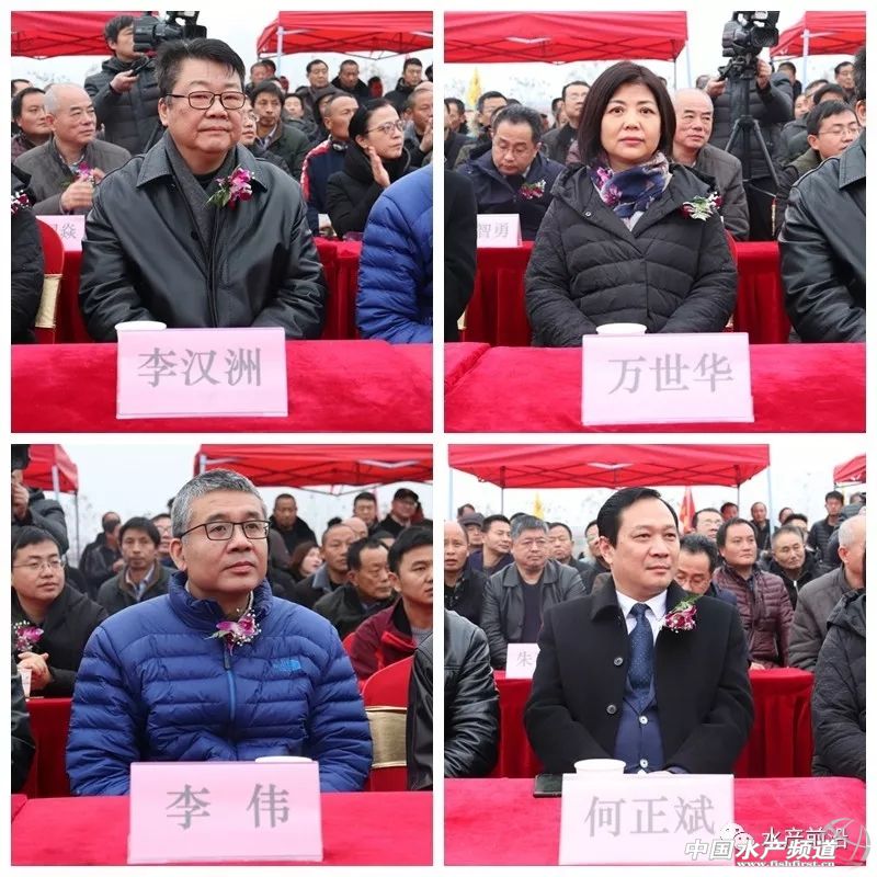 豪掷1.8亿！澳华要在华中占领制高点