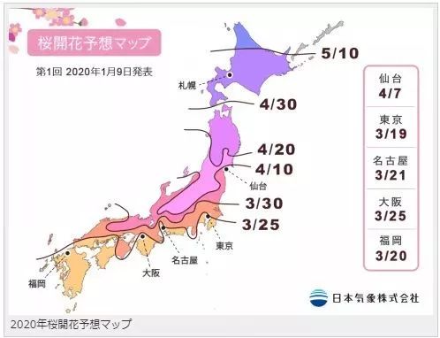 2020日本樱花花期,最新樱花观赏时间表