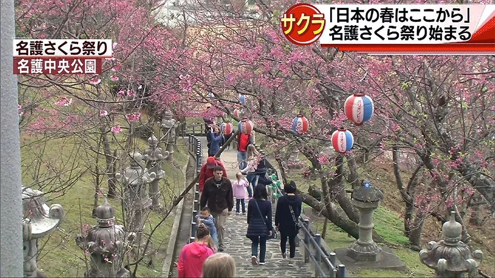 2020日本樱花花期,最新樱花观赏时间表