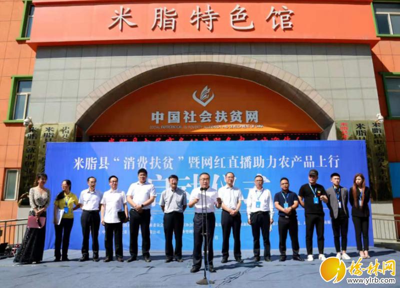 山货出村助力乡村,山货助农增收