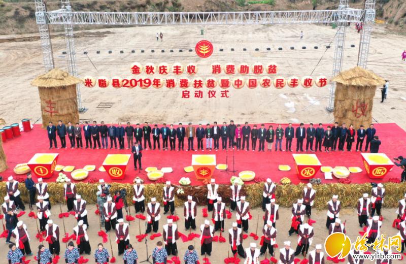 山货出村助力乡村,山货助农增收