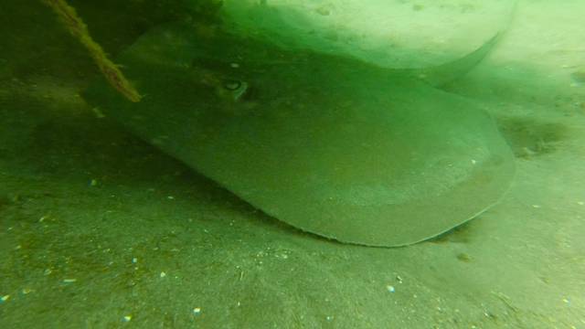 巴厘岛旅游自由行详细攻略,巴厘岛旅行攻略自由行路线图大全