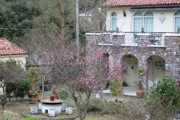 奉化旅游春节,五一奉化旅游攻略