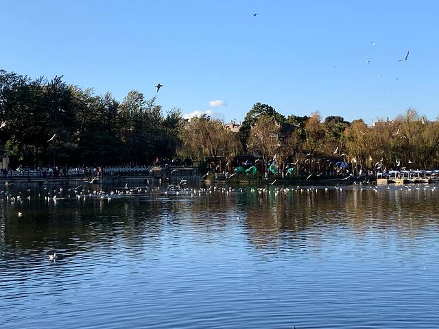 昆明大理丽江6日游免费,昆明大理丽江6日游纯玩团