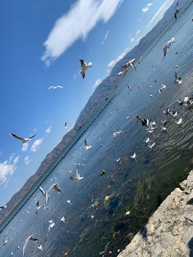 昆明大理丽江6日游免费,昆明大理丽江6日游纯玩团