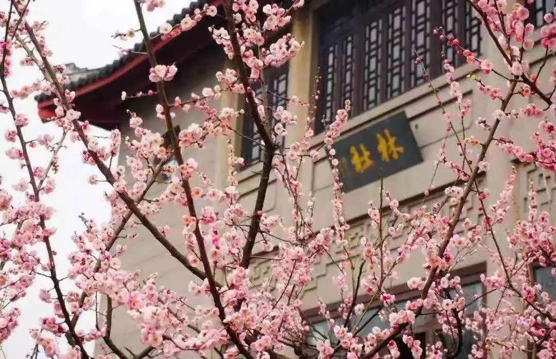 ¥499/2晚--春节不加价！游西湖赏雪踏梅！住洲际旗下高品质酒店，包双人自助早餐