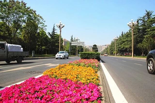 街道书记访谈,街道书记推介党建项目