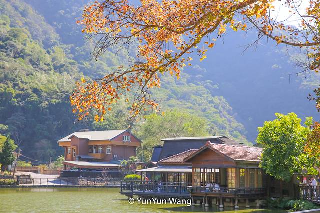 王鋆鋆「台湾乡村游」小众休闲秘境乐悠游