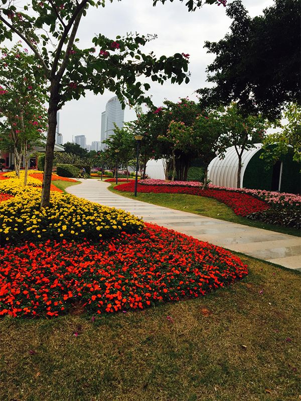 广州海珠区免费公园推荐,海珠区最近的公园