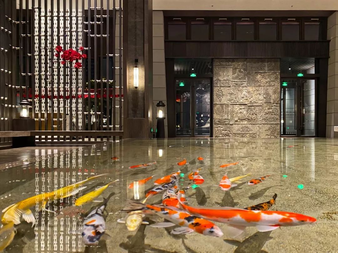 中国最美酒店前厅,全国各地jw万豪酒店