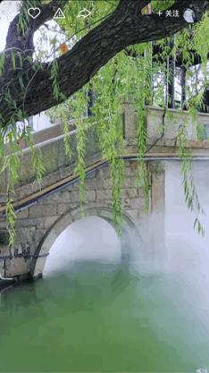 本来想去薅羊毛,却沉迷在这张“活的”地图上……