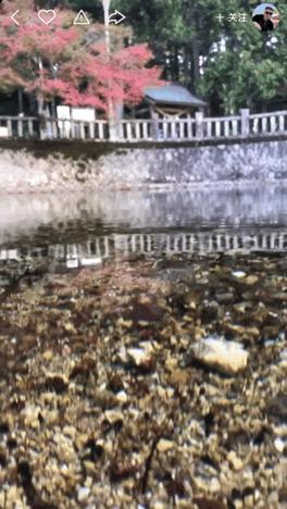 本来想去薅羊毛，却沉迷在这张“活的”地图上……